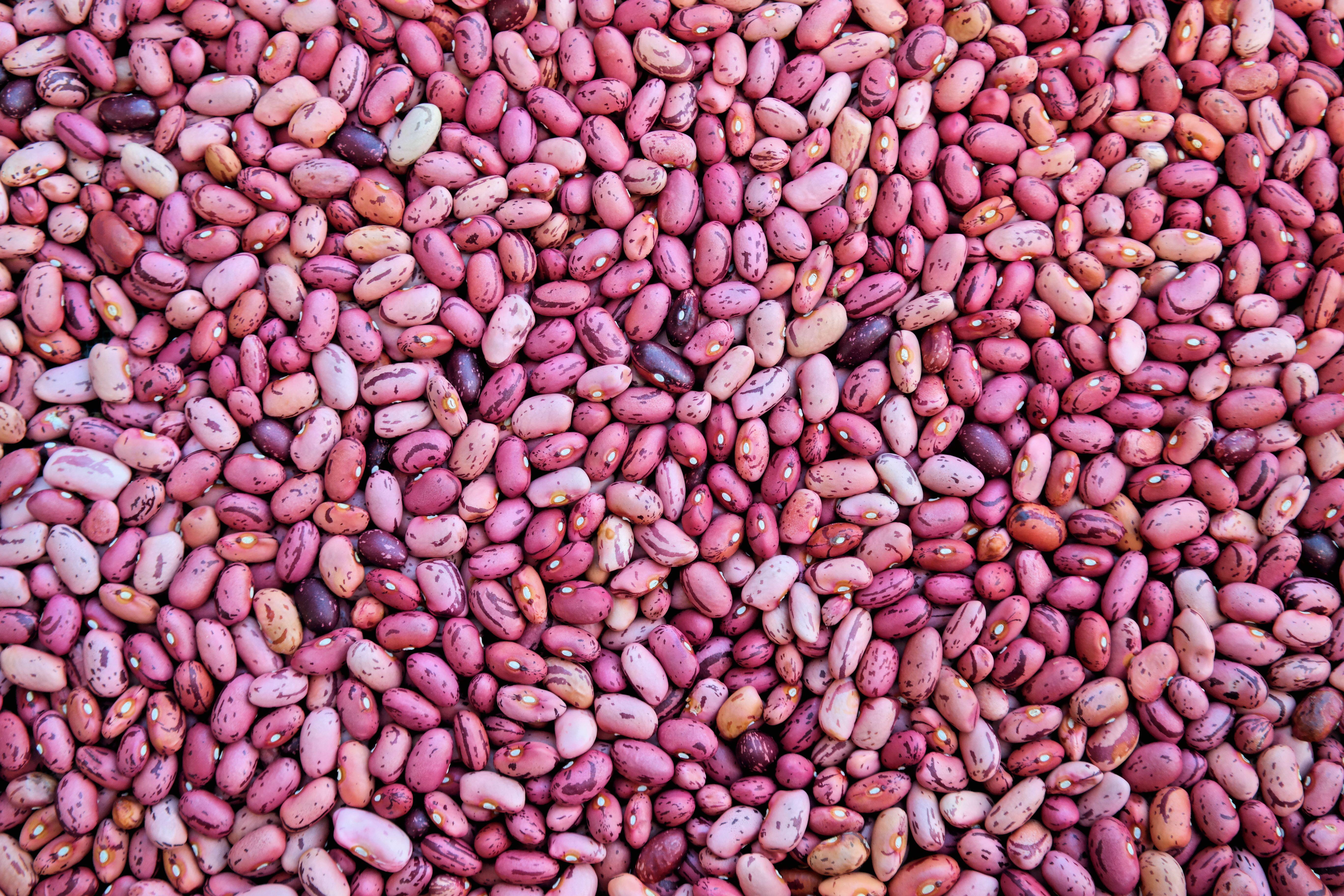 Seeds