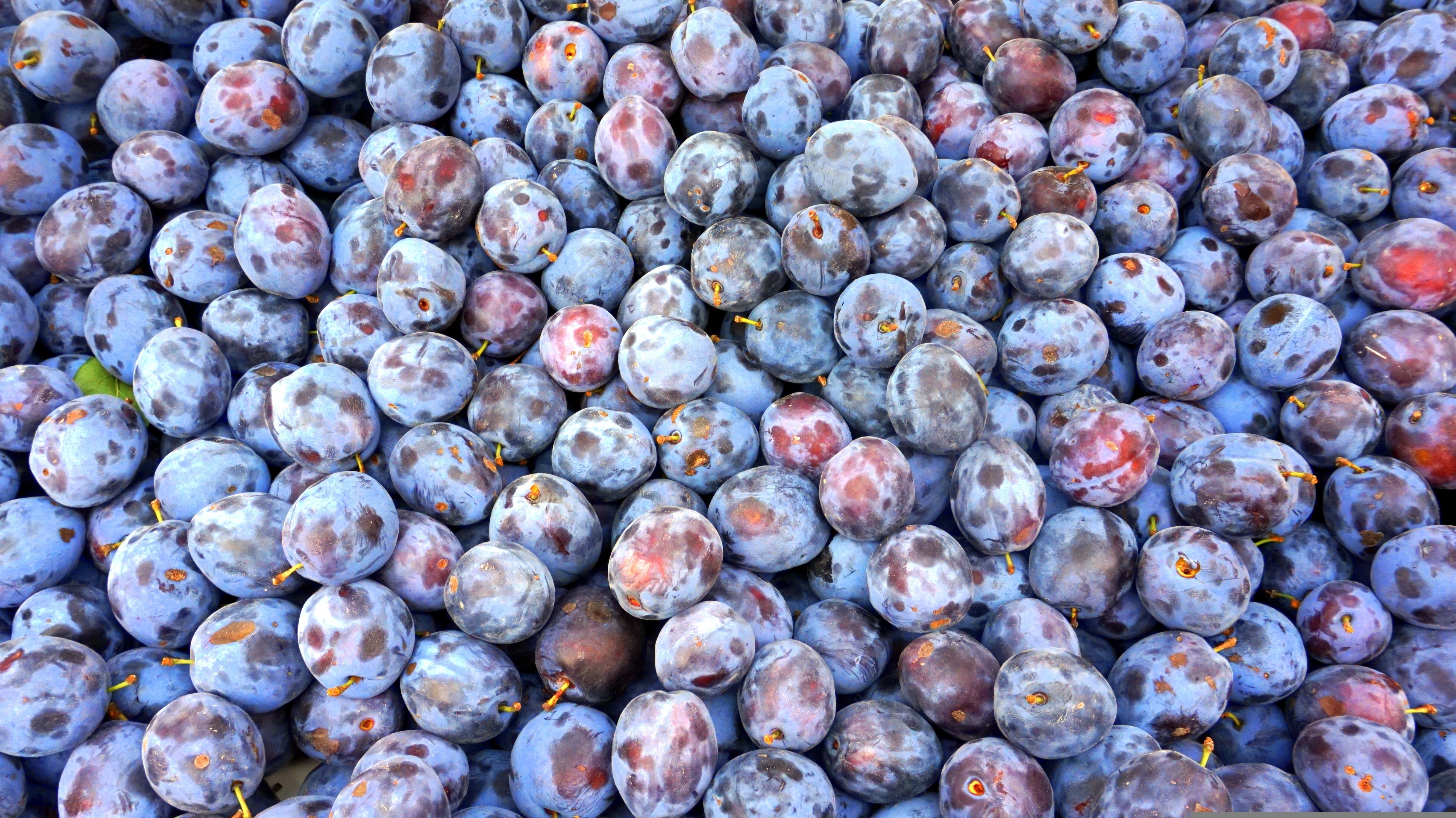 Fruits