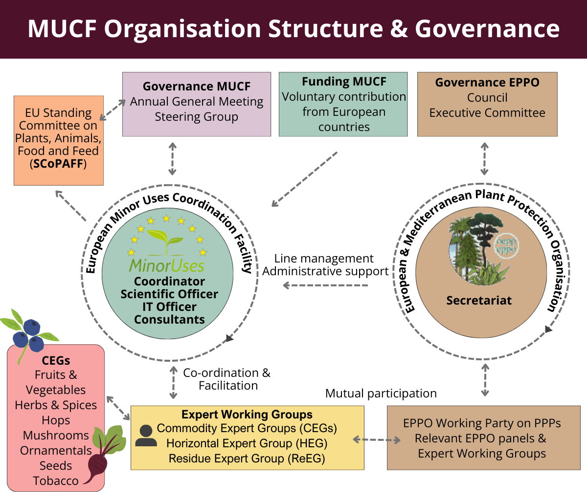 Diagram of the MUCF relationship
